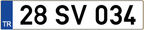 Truck License Plate